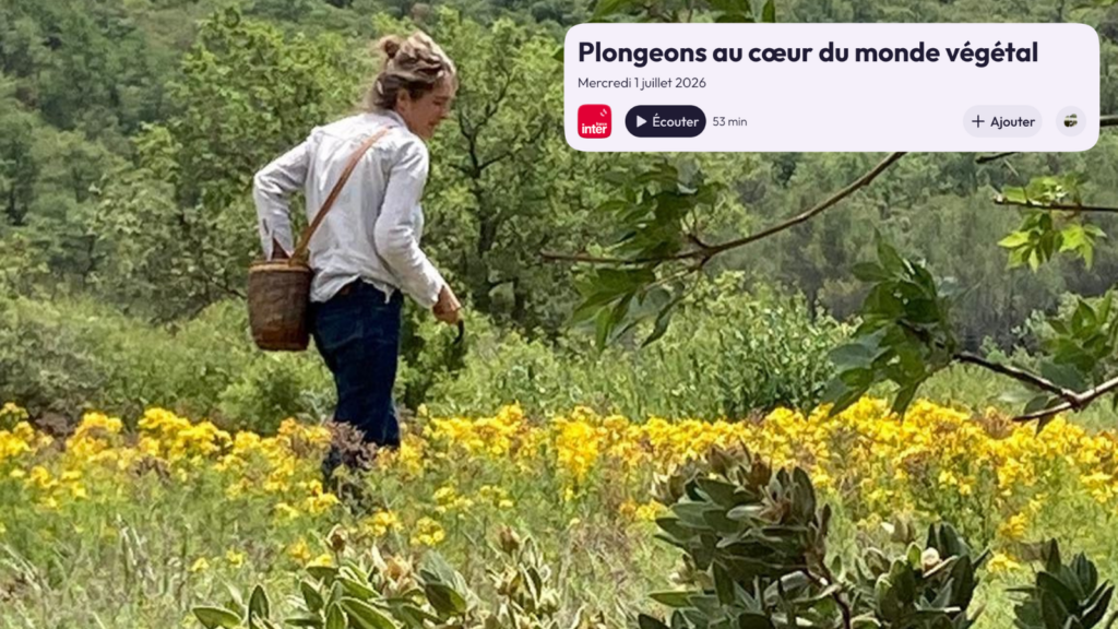 Clarisse Lebas dans Grand Bien Vous Fasse