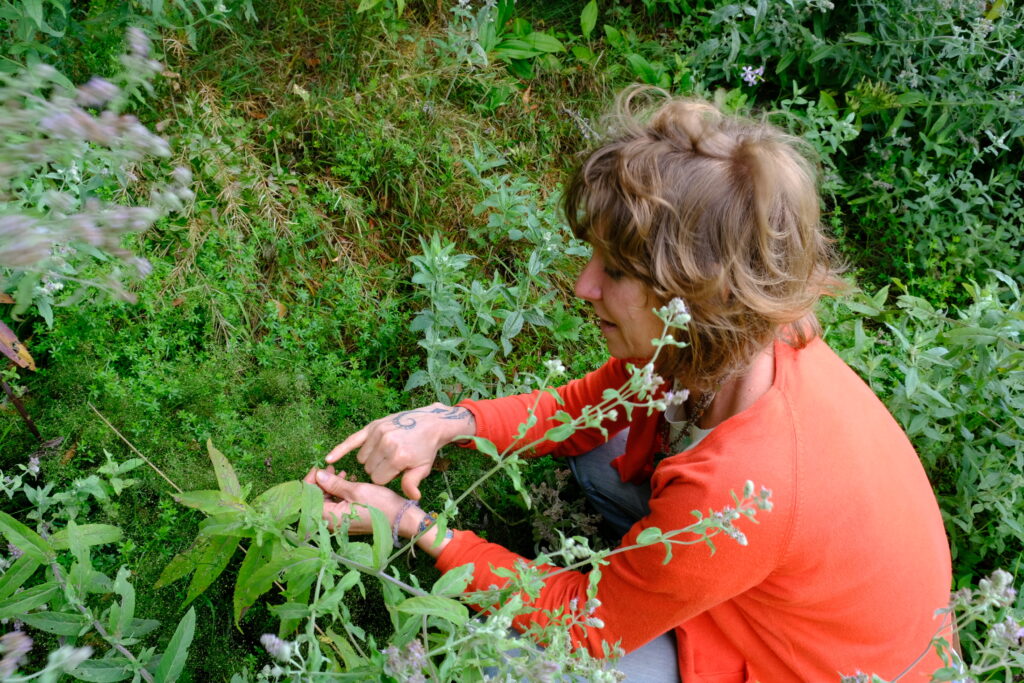 Portrait d'Herboriste: Louise Herold